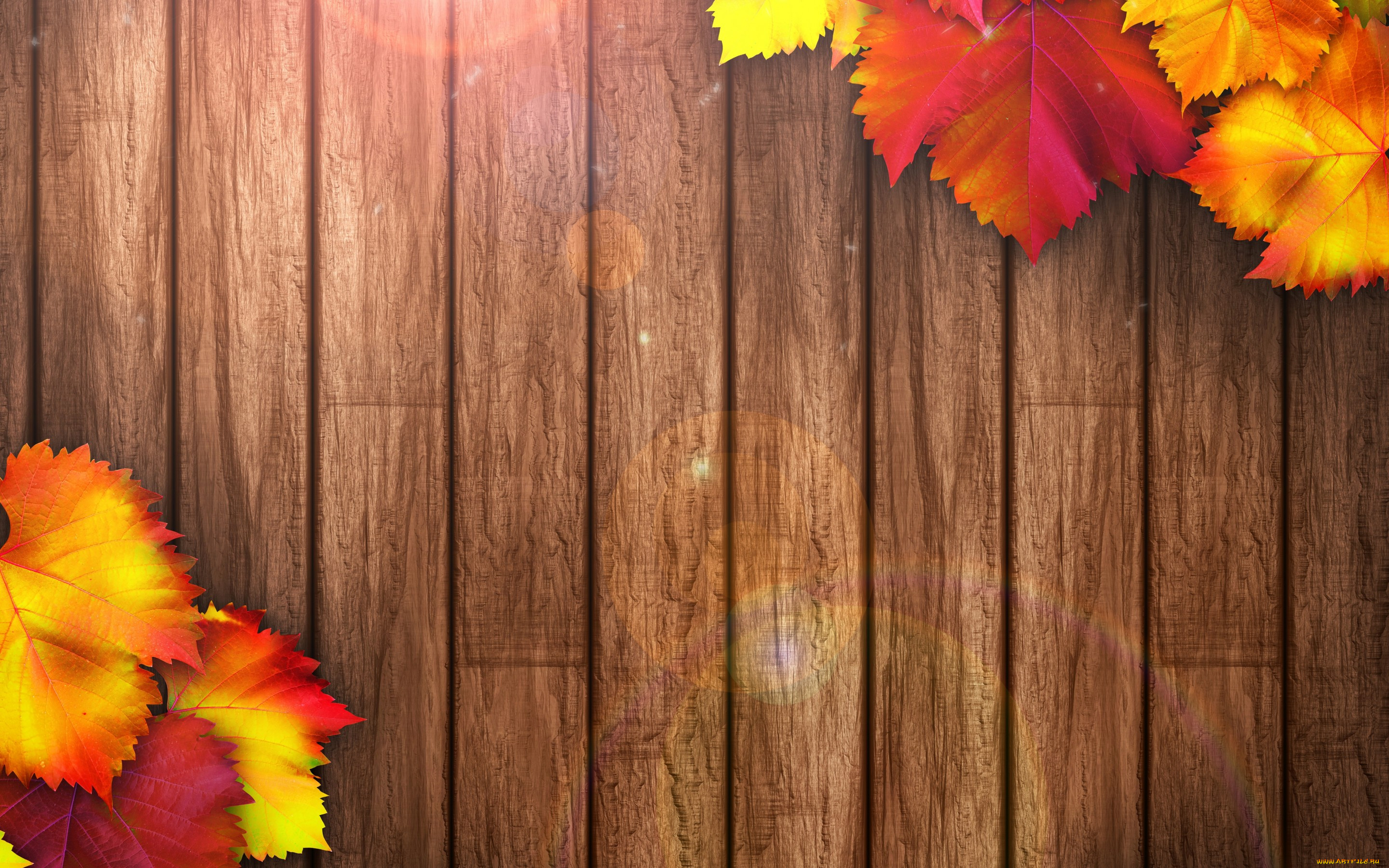 , , colorful, , , wood, leaves, texture, autumn